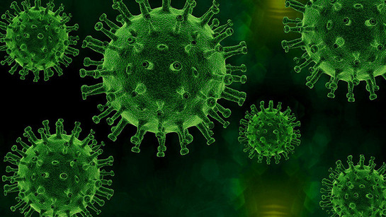 dbb SPEZIAL Coronavirus